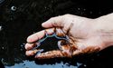 OPEC Anticipates Fall in Demand for Oil- Supply Chain to Match Tune?