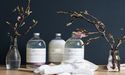 Crowd Media’s Remarkable Achievement, Registers Revenue from KINN Living Agreement