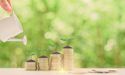 Guide to investing in Dividend Stocks