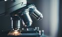 Biotech player Selvax beating the odds; eyes an IPO in H2’ 20