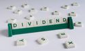 Is it a Carnage? Dividend Dynasty for Income Stocks and a Peek into Present Dividend Stalwarts
