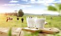 Trends in The UK Dairy Industry After the Outbreak of Covid-19