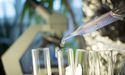 Impressive! Prescient Obtains Key Licenses for Next Generation Immunotherapy Platform