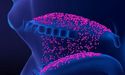SUDA Reports Significant Preliminary Results from Anagrelide Pharmacokinetic Study