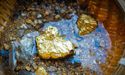 First Au’s Gimlet Near Exploration Progress with Targets Being Identified during IP survey