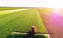 Booming Agriculture Sector: Lens on WOA, GNC, CGC