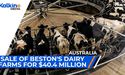 Sale of BESTON'S Dairy Farms for $40.4 million | ASX Market Update