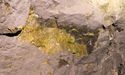  Westgold Resources to re-enter S&P All Australian 200 Index post June 2020 Quarterly Rebalance 