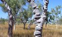 King River Resources’ Security Purchase Plan Centred on Advancing Projects’ Exploration Ventures