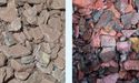 Element 25 Formally Granted 21-Year Term Mining Lease for Butcherbird, Stock in Green