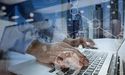 Performance Review of Three AIM Listed Tech Players: ECK, IDE and VELA