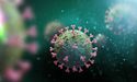  Covid 19 Update: New findings reveal that T-cells are vital to fight Coronavirus 