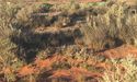Musgrave Minerals Records Remarkable June Quarter, Stock Zooms Up 4%