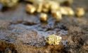  Your guide to Investing in Gold Stocks in a Market Crash - WAF, ALK 