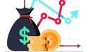 What is Capital Expenditure?