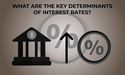  What are the Key Determinants of Interest Rates? 