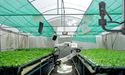 Technology finds another suitor: UAE's hi-tech approach to ensure Food Security