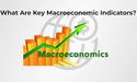 What are Macroeconomic Indicators?