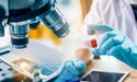 Medical Research Charities Face A Funding Gap; Pharma Industry Urges Government Help