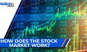 How does the stock market work?