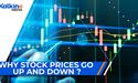 Why stock prices go up and down?