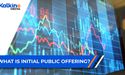 What is Initial Public Offering? | IPO Explained