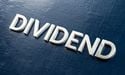  5 Best Dividend Stocks One Should Be Looking For In Run-Up To Post Lockdown Reform 