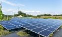  Renewable stocks in focus as government subsidises onshore and solar projects 