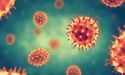  WHO calls for a meeting to discuss new coronavirus variant and its spread 