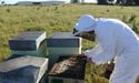  Advertising Standards Authority UK alleged Manuka Honey for Breaching code 