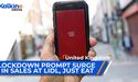 Lockdown prompt surge in sales at Lidl, just eat. | UK |