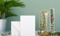What significant factors led Card Factory to anticipate a loss during FY21?