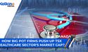 Big Pot Firms Push Up TSX Healthcare Sector's Market Cap | CA NEWS 11 FEB