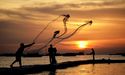 Fishing in troubled waters: Illegal fishing in NZ thrives amid pandemic