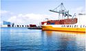 What drove the decline in Australia’s January exports