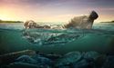 What is Australia doing to solve the oceans’ plastic waste problem?