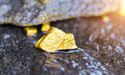  Altan Rio (TSXV: AMO.H) strikes high-grade gold mineralisation in Southern Cross 