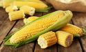  Lower Ending Stocks & Tight Supplies Push Corn Prices Higher   