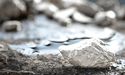  Endeavour Silver (TSX:EDR) Trending Due To Confusion With Endeavor? 