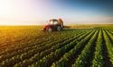  Nutrien (NTR) and Village Farms (VFF): 2 TSX Agricultural Stocks To Buy 