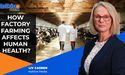 How Factory Farming Affects Human Health?