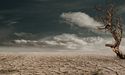 Droughts Can Jeopardize Canada’s Agricultural Sector & Economy