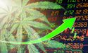  Canopy Growth (TSX:WEED): A Pot Stock Worth Buying? 
