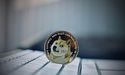  Elon Musk’s Dogecoin Preference Backed By “Dogs and Memes” 