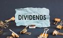  Dividend Lovers! 4 Great TSX Stocks With Over 7% Yields 