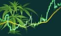  Trending Cannabis Stocks: Tilray (TLRY), Sundial (SNDL) 