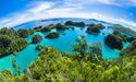Ocean Conservation: What Are Nations Doing to Protect Their Underwater Habitats?