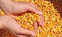 Why are commodity prices rising and what is its impact on inflation?
