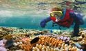  Is Australia’s Great Barrier Reef in danger? 