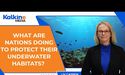 What Are Nations Doing to Protect Their Underwater Habitats ?